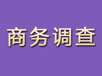 郸城商务调查